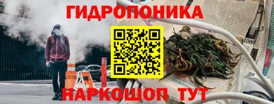 дмт Кимры