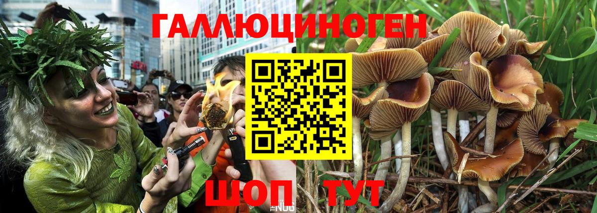 Галлюциногенные грибы Magic Shrooms Каменка