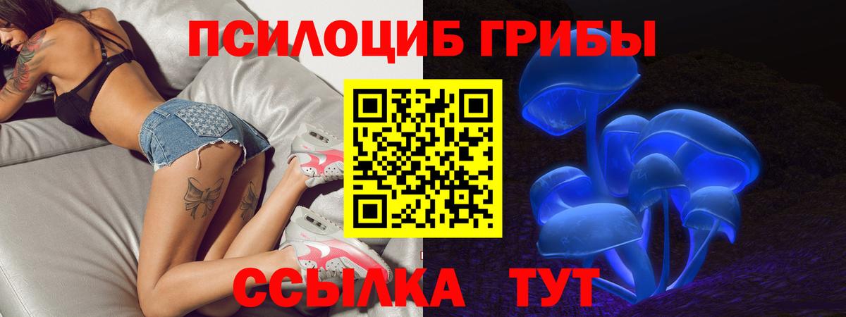 Галлюциногенные грибы Magic Shrooms  Вход с VPN  Каменка  Галлюциногенные грибы мицелий 